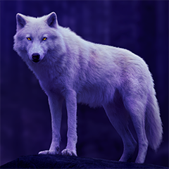 grimmdogg23