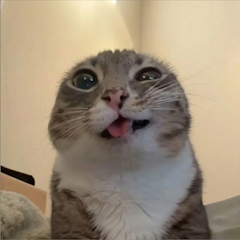 Aina-l-
