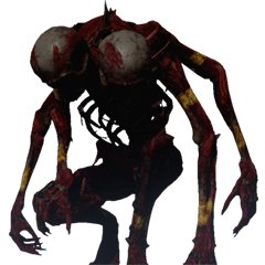 Zjfm