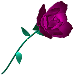 KrimZic_