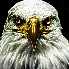 OutlawEagle