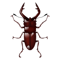 kebu-5k